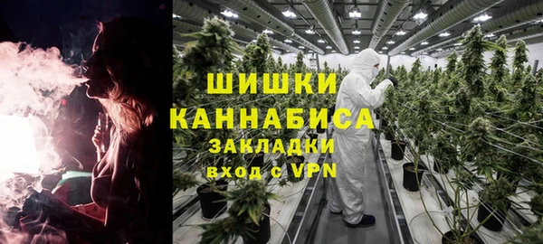 сатива Майский