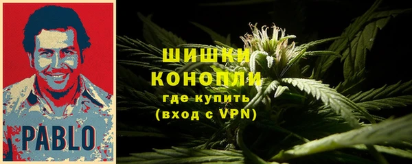 сатива Майский