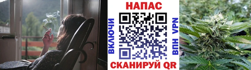 Купить закладки Клинцы Канабис планчик